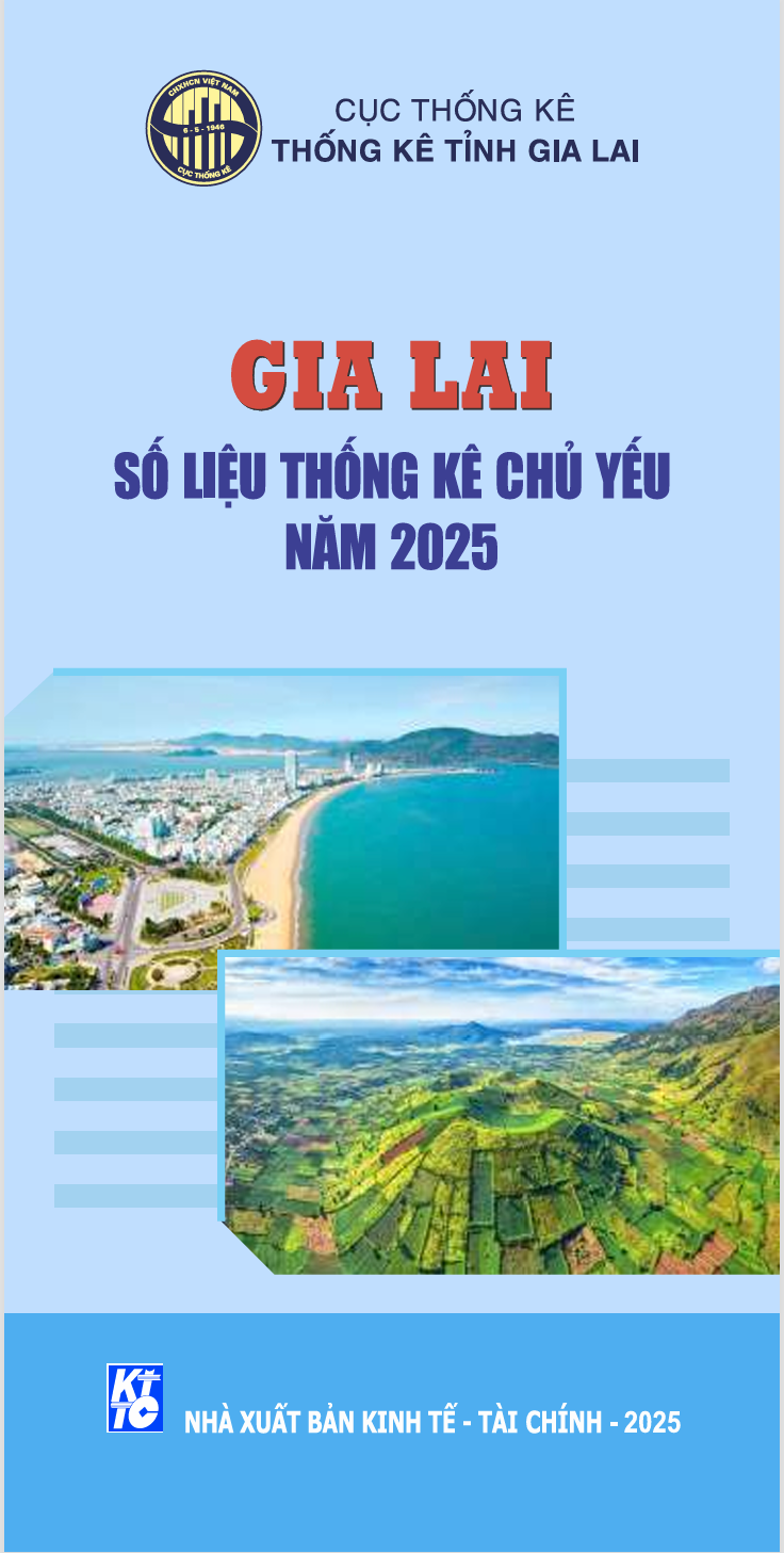 TẬP GẤP SỐ LIỆU THỐNG KÊ CHỦ YẾU NĂM 2025